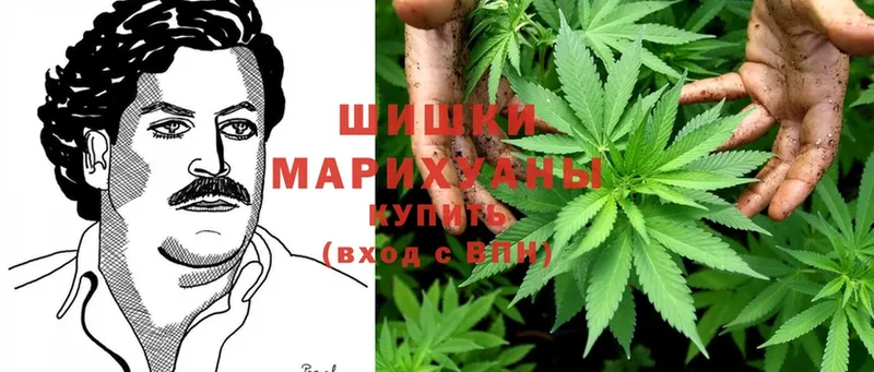 наркота  OMG вход  Марихуана Bruce Banner  Красногорск 